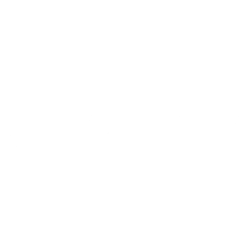 Weißes Logo "Wordpress" CMS.