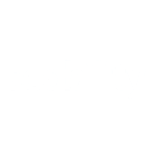 Weißes Logo "Seobility".